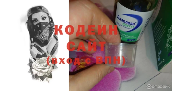 индика Беломорск
