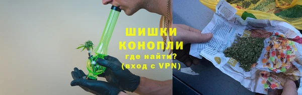 индика Беломорск