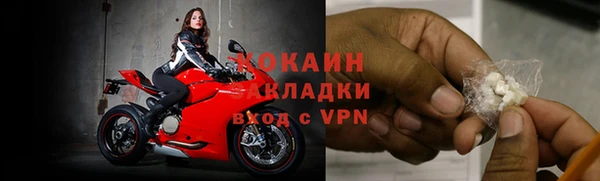 индика Беломорск