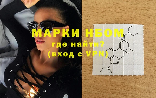 индика Беломорск