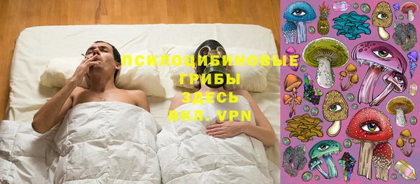 индика Беломорск